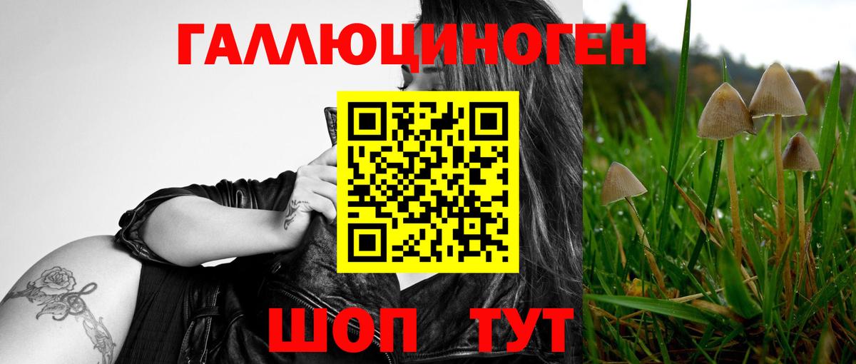 Бахчисарай  Псилоцибиновые грибы Psilocybine cubensis  Вход с VPN 